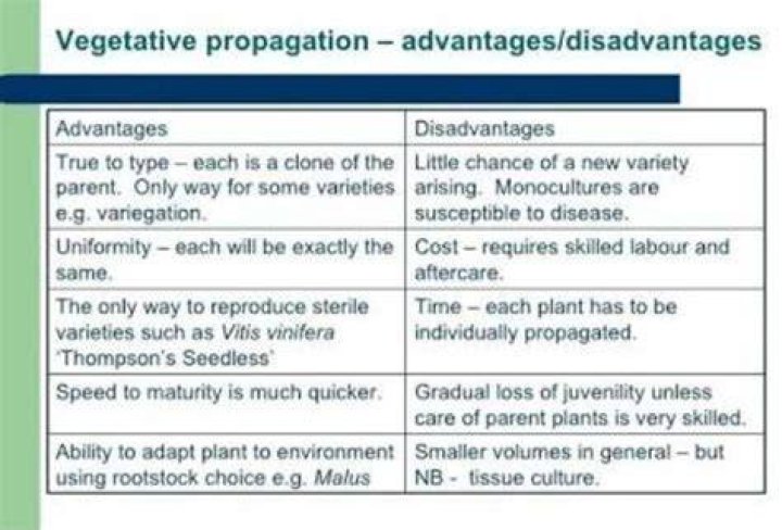 What are the advantages and disadvantages of propagation?