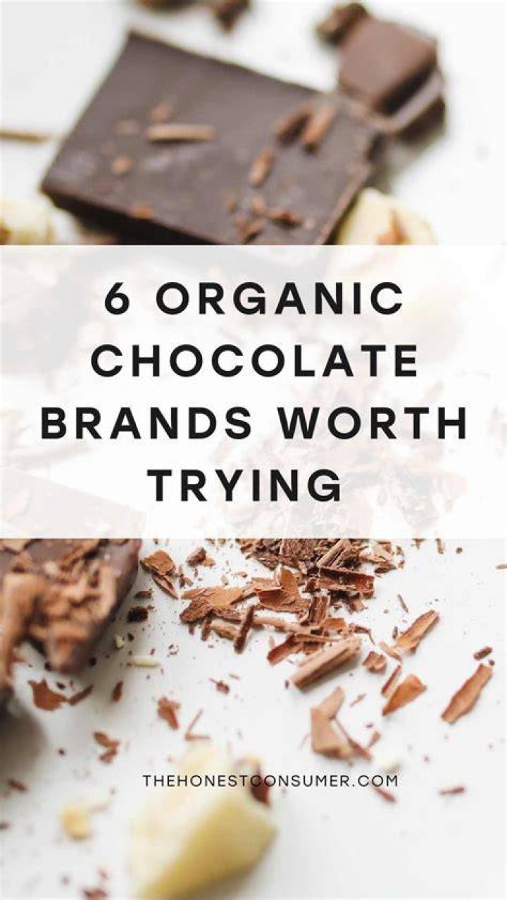 What is the best organic chocolate?